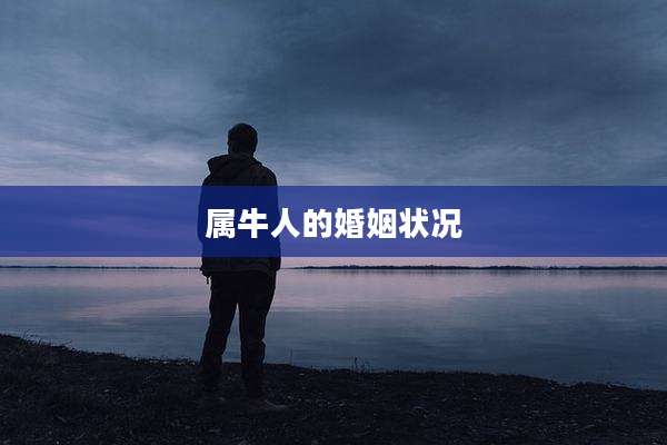 属牛人的婚姻状况