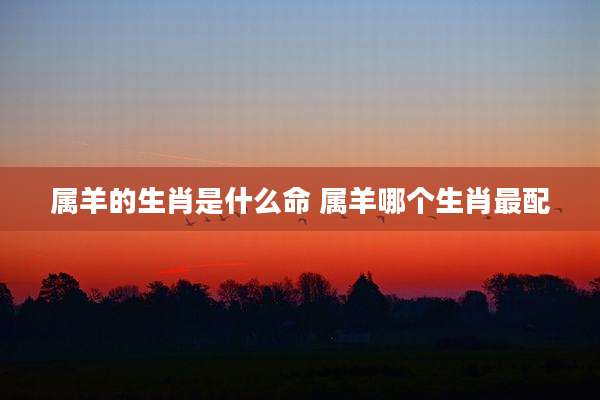 属羊的生肖是什么命 属羊哪个生肖最配