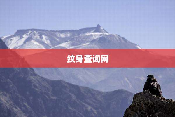 纹身查询网