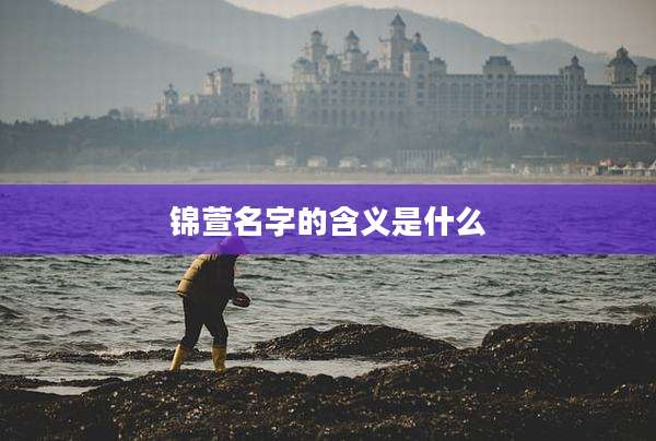 锦萱名字的含义是什么