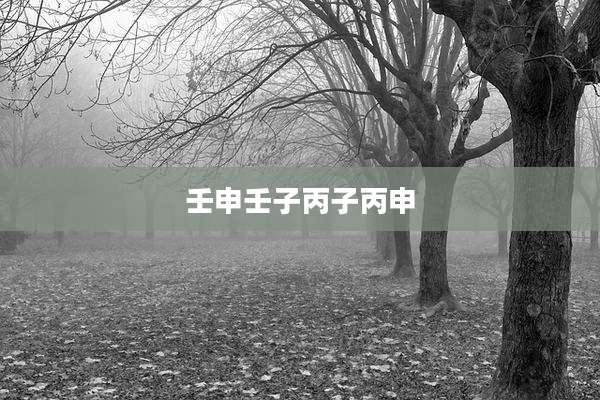 壬申壬子丙子丙申