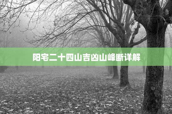 阳宅二十四山吉凶山峰断详解