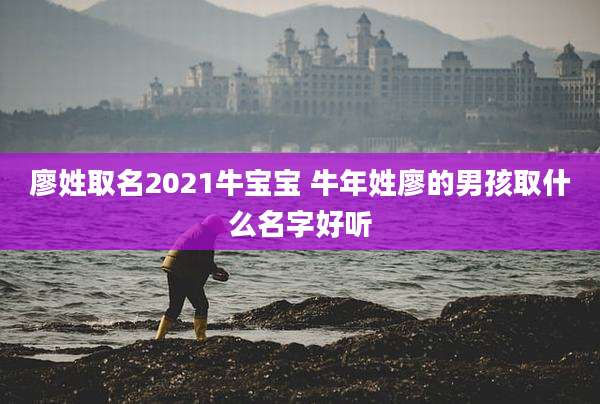 廖姓取名2021牛宝宝 牛年姓廖的男孩取什么名字好听