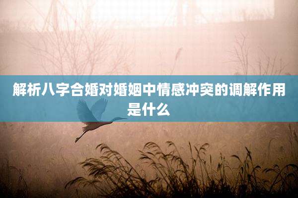 解析八字合婚对婚姻中情感冲突的调解作用是什么