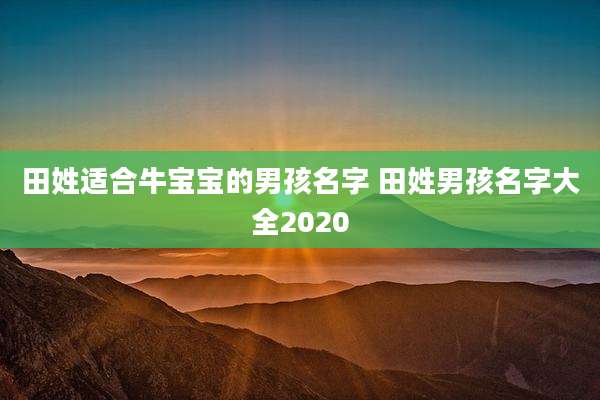 田姓适合牛宝宝的男孩名字 田姓男孩名字大全2020