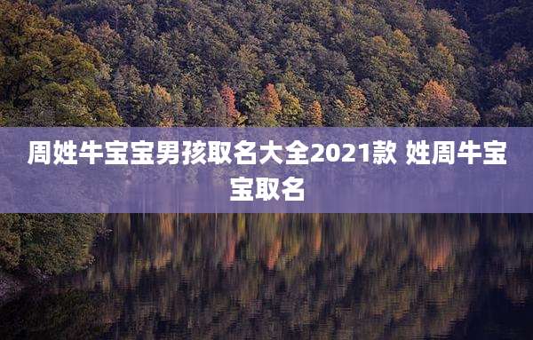 周姓牛宝宝男孩取名大全2021款 姓周牛宝宝取名