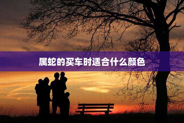 属蛇的买车时适合什么颜色