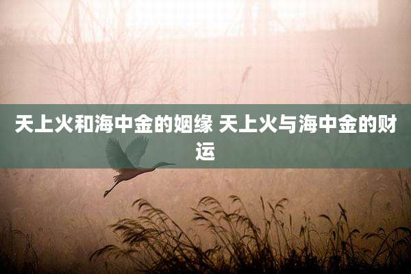 天上火和海中金的姻缘 天上火与海中金的财运