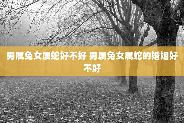 男属兔女属蛇好不好 男属兔女属蛇的婚姻好不好