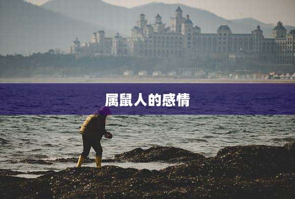 属鼠人的感情