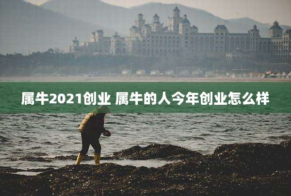属牛2021创业 属牛的人今年创业怎么样