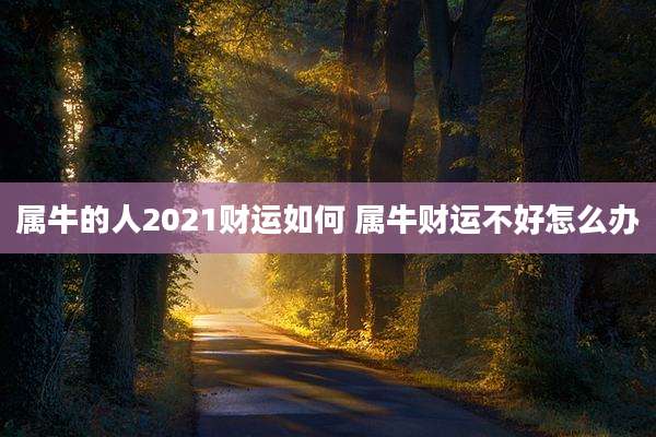 属牛的人2021财运如何 属牛财运不好怎么办