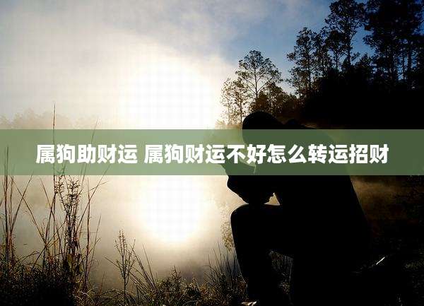 属狗助财运 属狗财运不好怎么转运招财