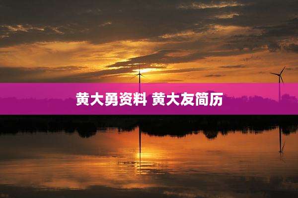 黄大勇资料 黄大友简历