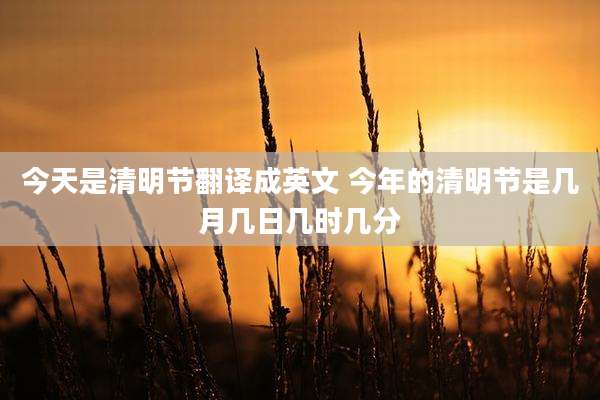 今天是清明节翻译成英文 今年的清明节是几月几日几时几分