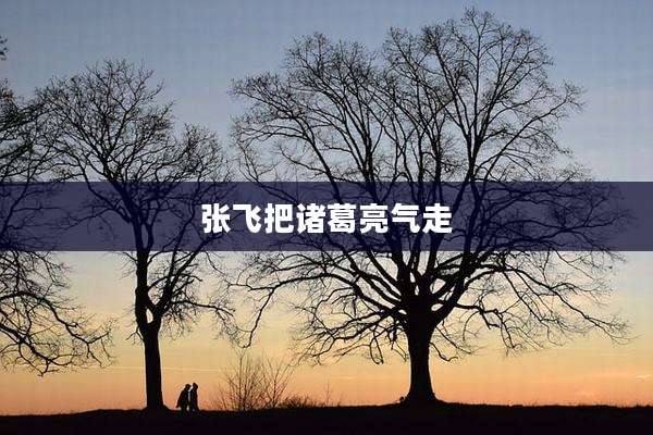 张飞把诸葛亮气走