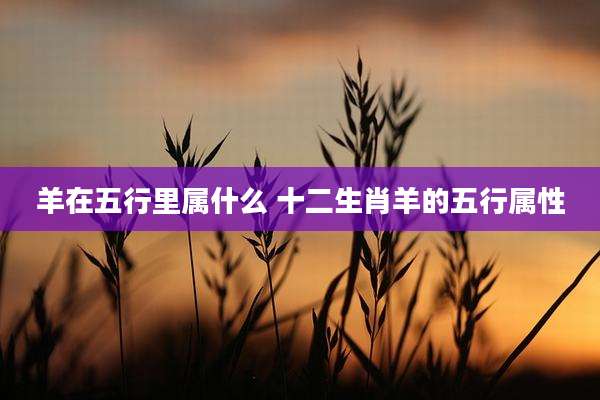 羊在五行里属什么 十二生肖羊的五行属性
