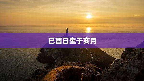 已酉日生于亥月