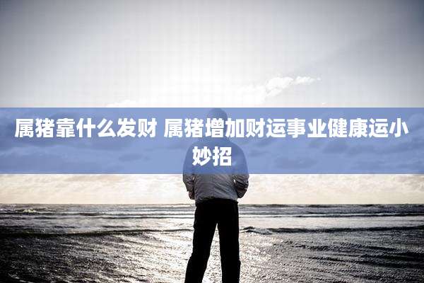 属猪靠什么发财 属猪增加财运事业健康运小妙招
