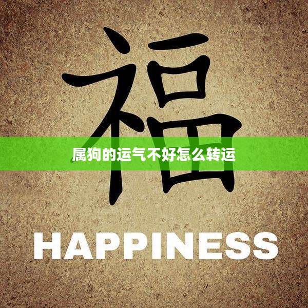 属狗的运气不好怎么转运