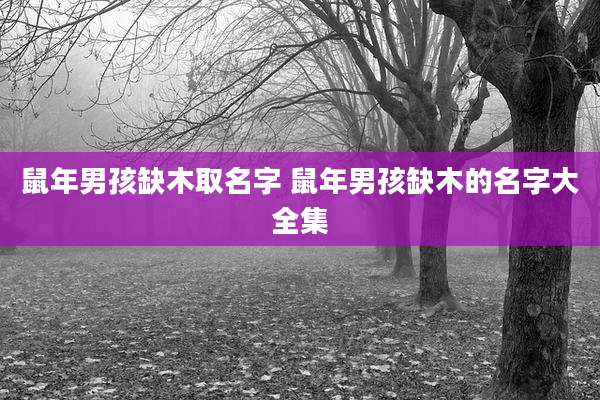 鼠年男孩缺木取名字 鼠年男孩缺木的名字大全集