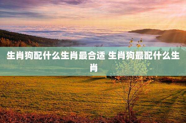 生肖狗配什么生肖最合适 生肖狗最配什么生肖