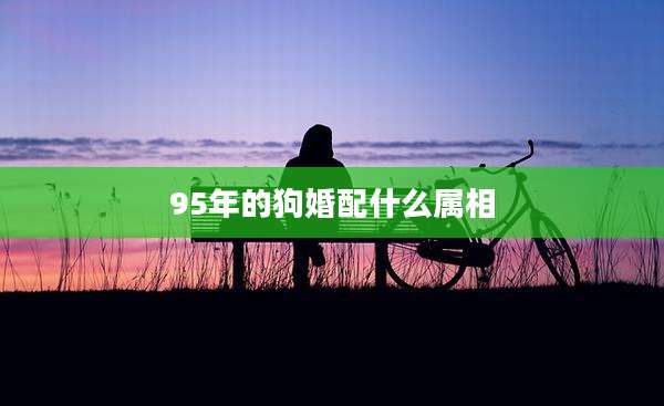 95年的狗婚配什么属相