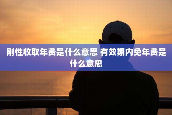 刚性收取年费是什么意思 有效期内免年费是什么意思