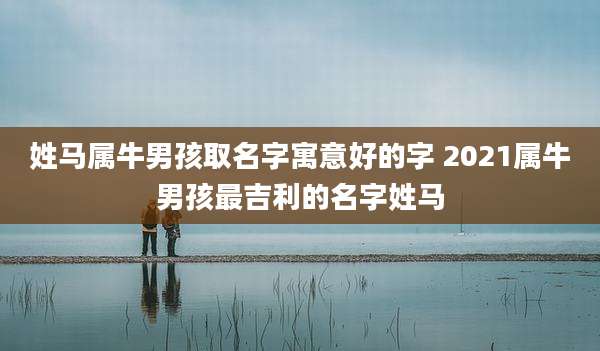 姓马属牛男孩取名字寓意好的字 2021属牛男孩最吉利的名字姓马