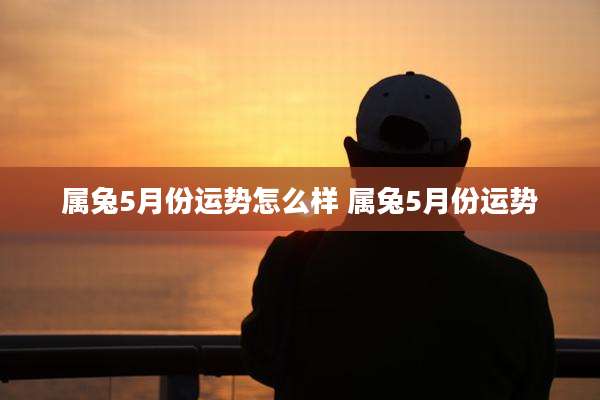 属兔5月份运势怎么样 属兔5月份运势