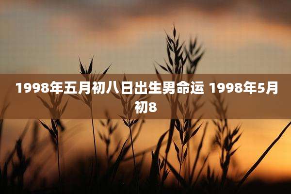 1998年五月初八日出生男命运 1998年5月初8