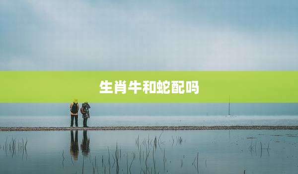 生肖牛和蛇配吗
