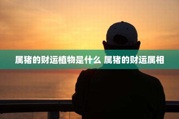 属猪的财运植物是什么 属猪的财运属相