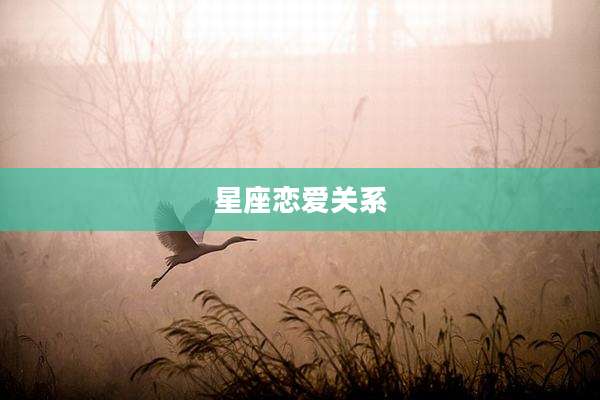 星座恋爱关系