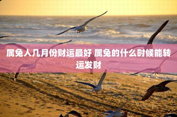 属兔人几月份财运最好 属兔的什么时候能转运发财