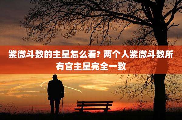 紫微斗数的主星怎么看? 两个人紫微斗数所有宫主星完全一致