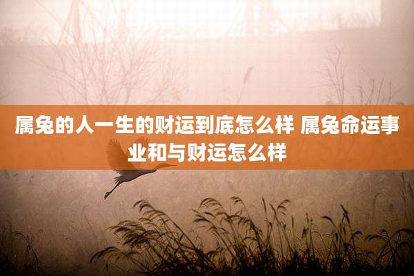 属兔的人一生的财运到底怎么样 属兔命运事业和与财运怎么样