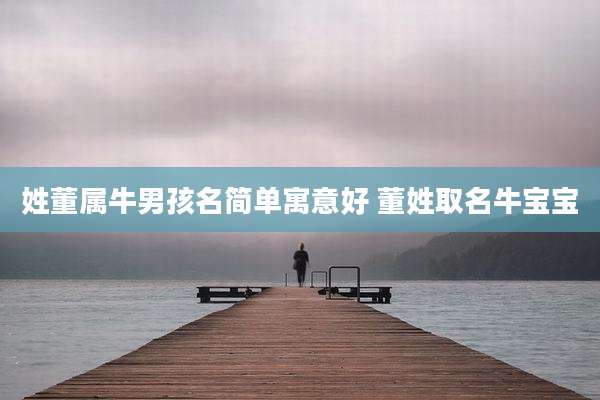 姓董属牛男孩名简单寓意好 董姓取名牛宝宝