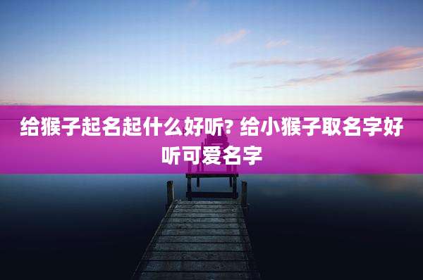 给猴子起名起什么好听? 给小猴子取名字好听可爱名字