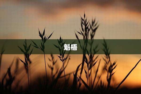 魁梧