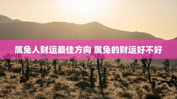 属兔人财运最佳方向 属兔的财运好不好
