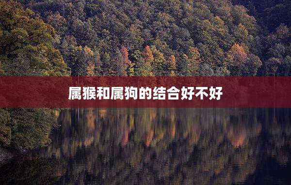 属猴和属狗的结合好不好