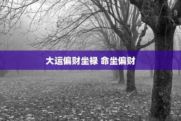 大运偏财坐禄 命坐偏财