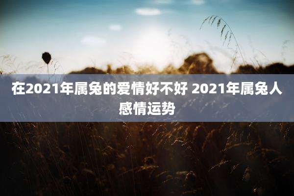 在2021年属兔的爱情好不好 2021年属兔人感情运势