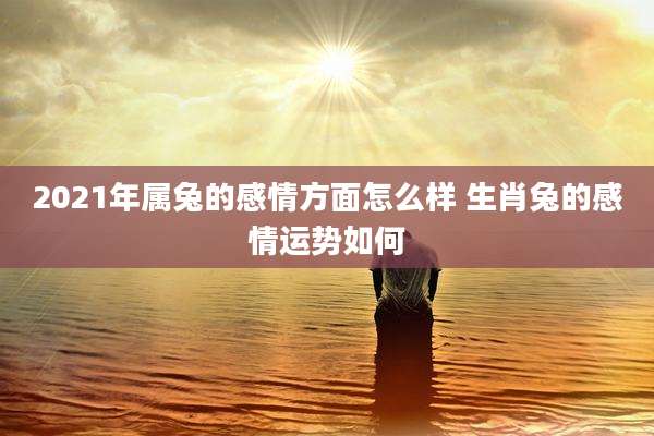 2021年属兔的感情方面怎么样 生肖兔的感情运势如何