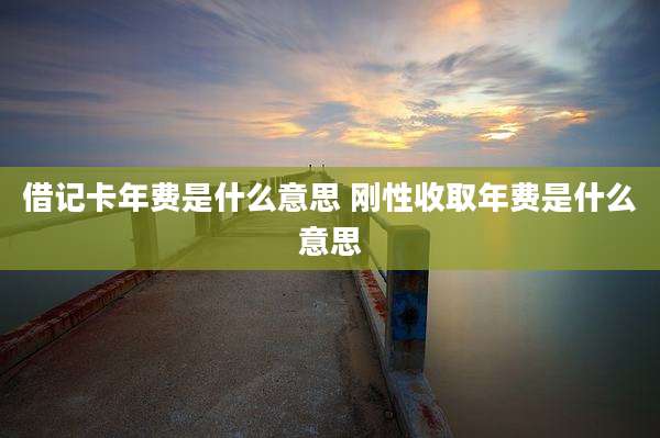 借记卡年费是什么意思 刚性收取年费是什么意思