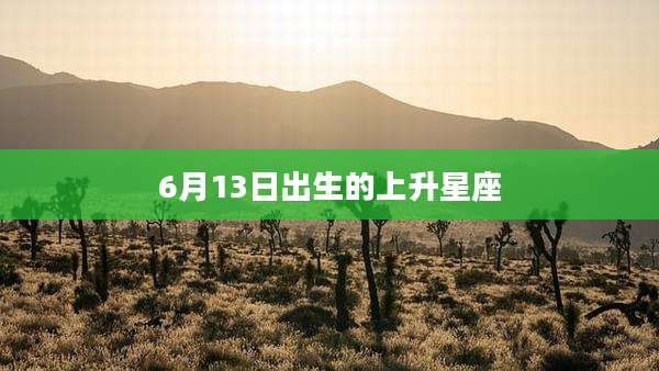 6月13日出生的上升星座
