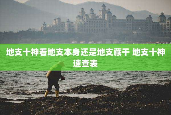 地支十神看地支本身还是地支藏干 地支十神速查表