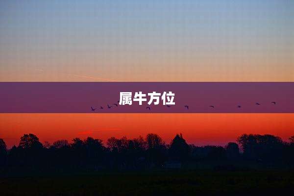 属牛方位