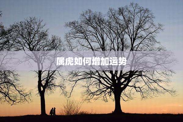 属虎如何增加运势